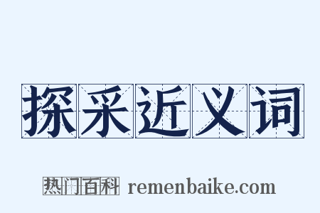 探采近义词是什么意思的图片